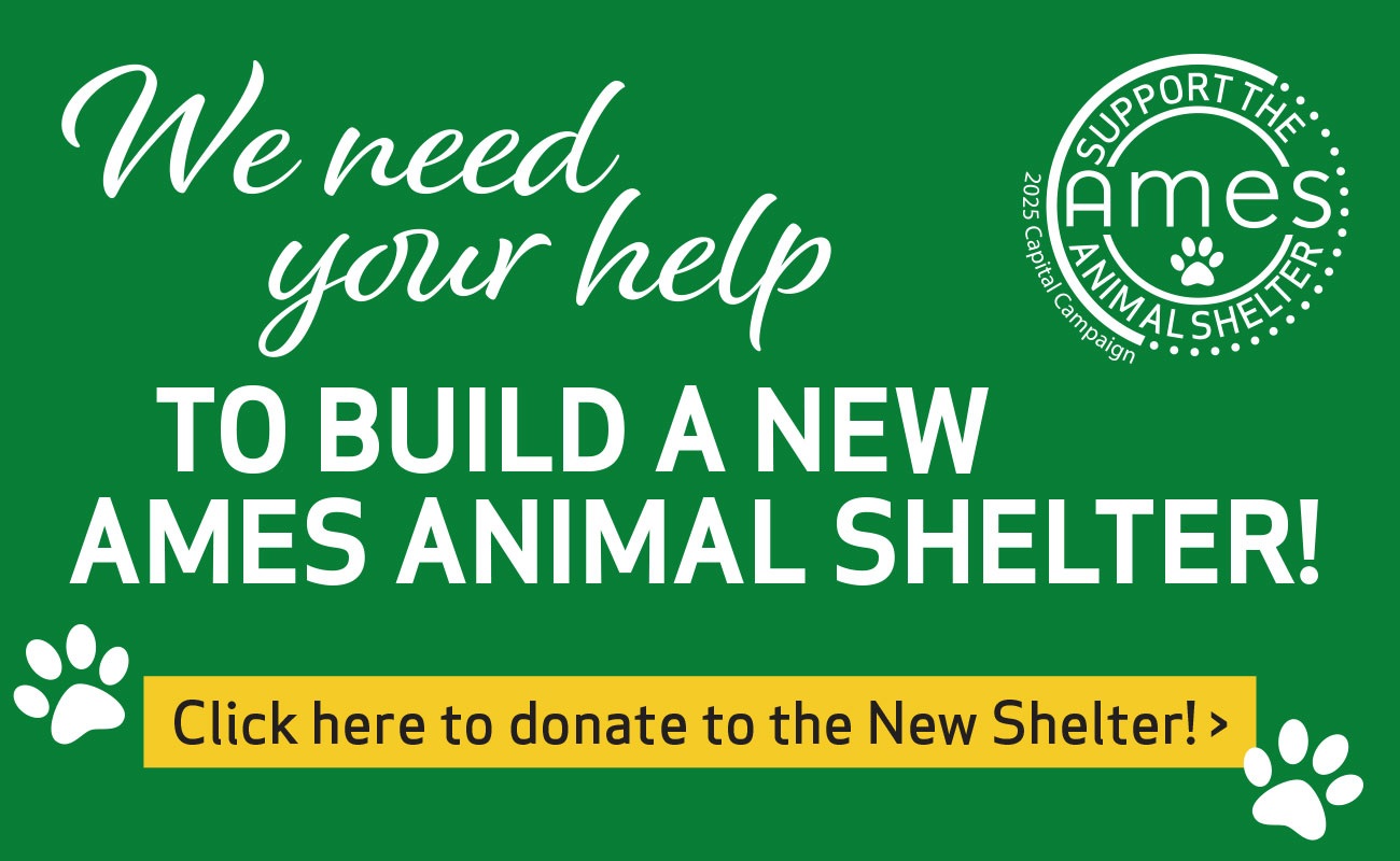 Click here to donate to the new shelter