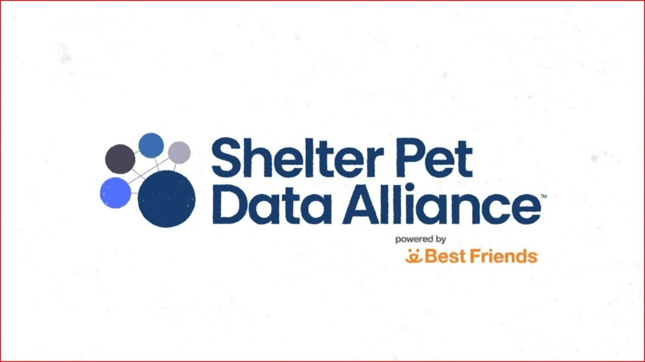 Shelter Pets Data Alliance.jpg