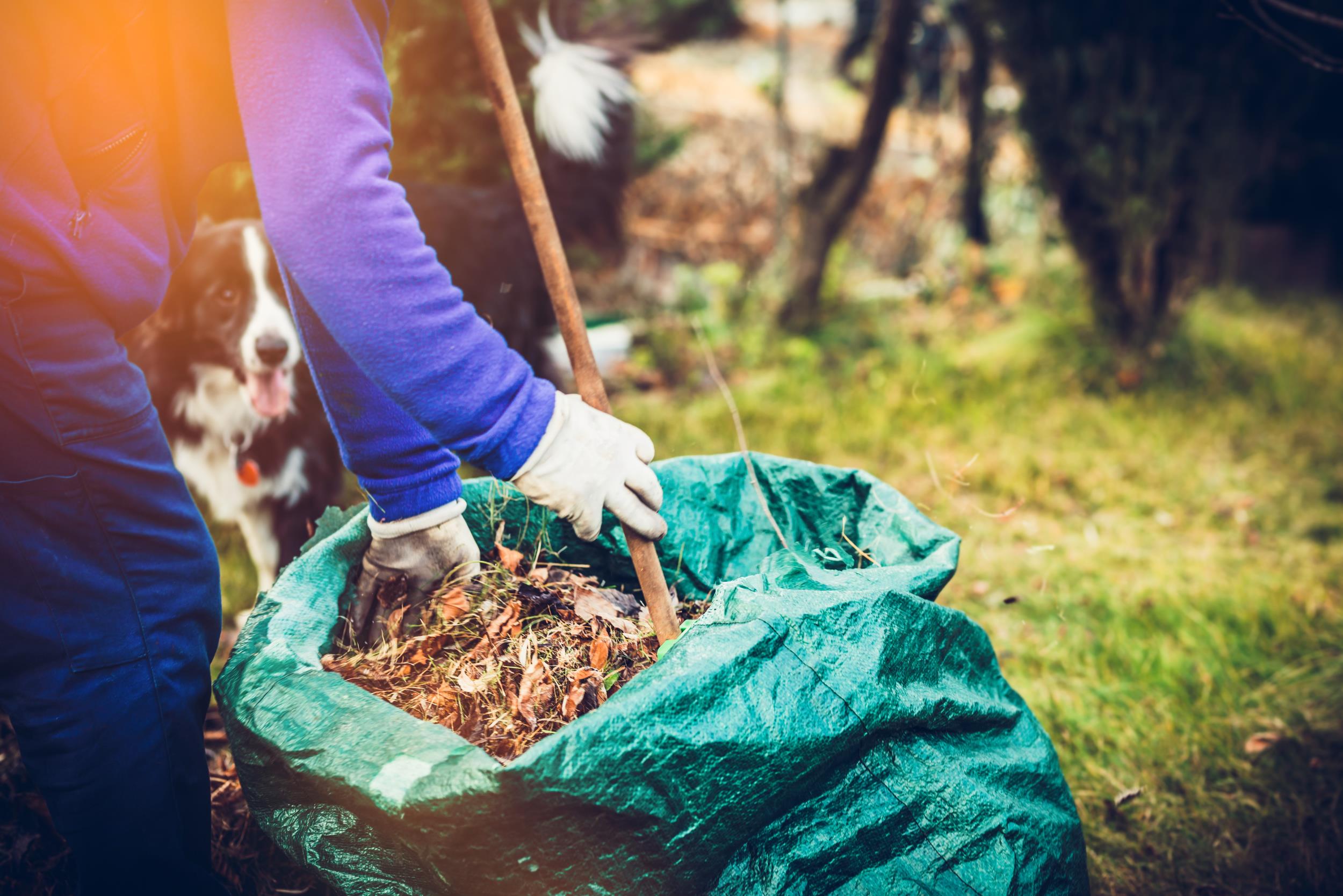 Bag of yard waste