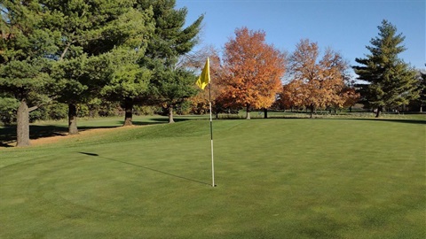 Flag on golf course