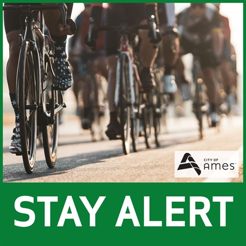 A group of bicyclists traveling down the road