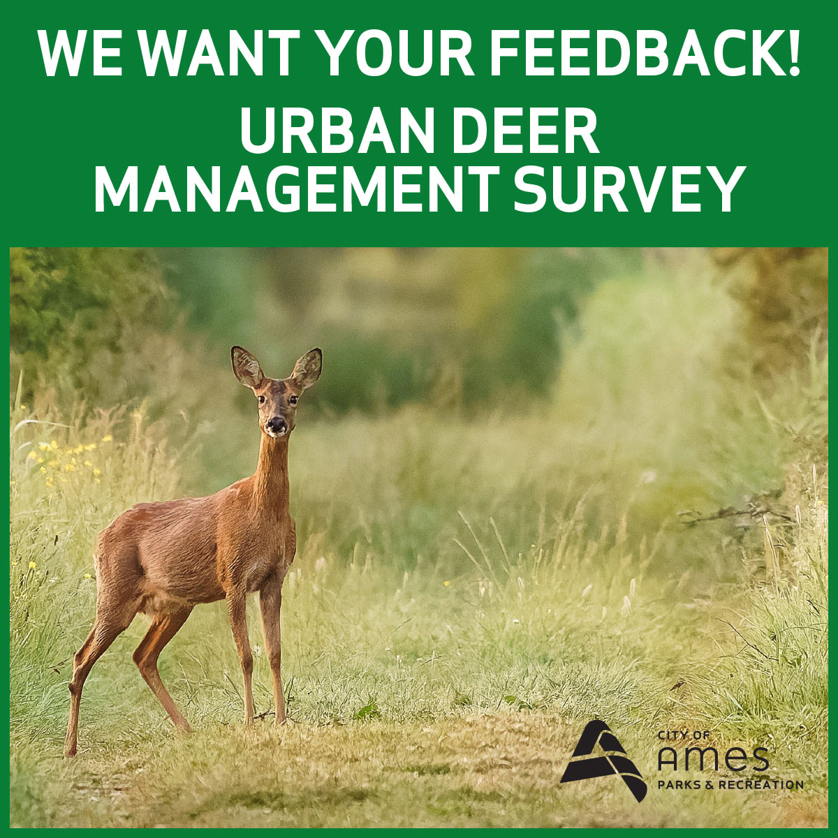 We want your feedback!