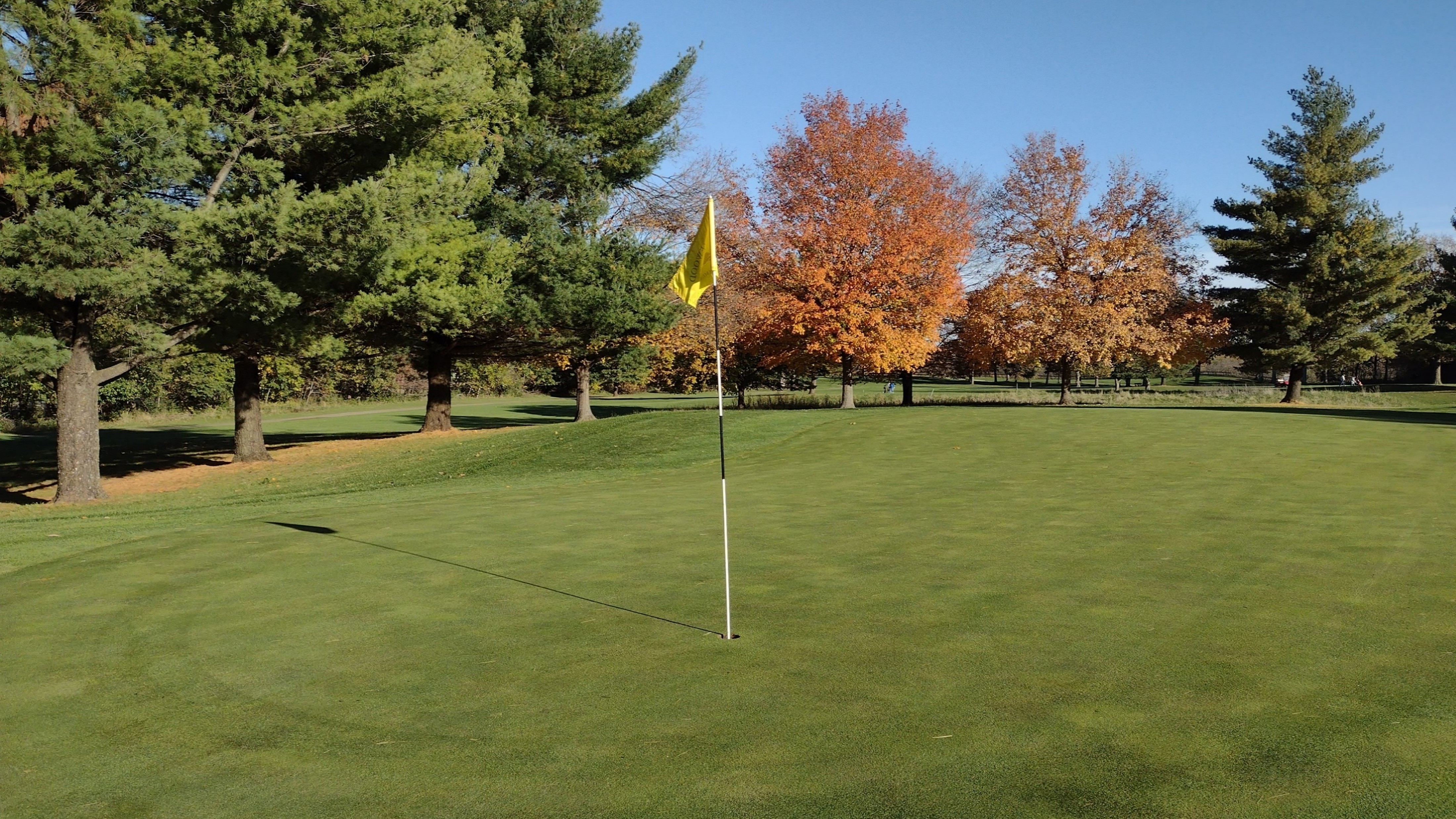 Flag on a golf course