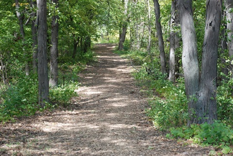 Trails and woodlands