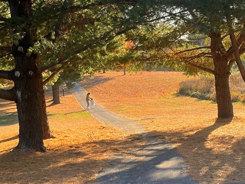 Fall trees along a the path at Moore Memorial Park