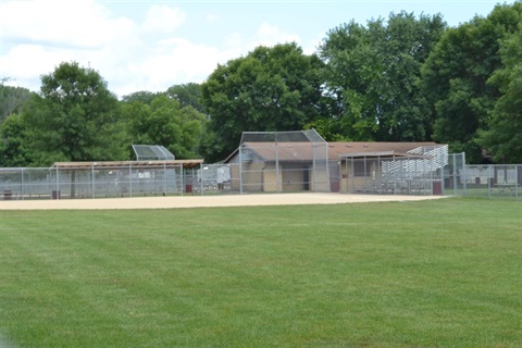 Green lawn at a park