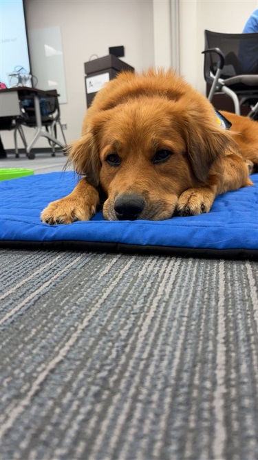 Penny-1.jpg