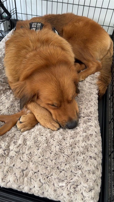 Penny-10.jpg
