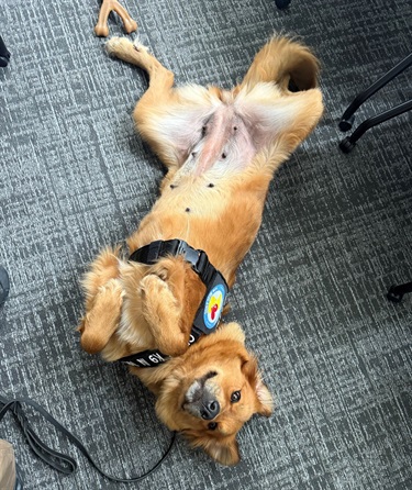 Penny-12.jpg