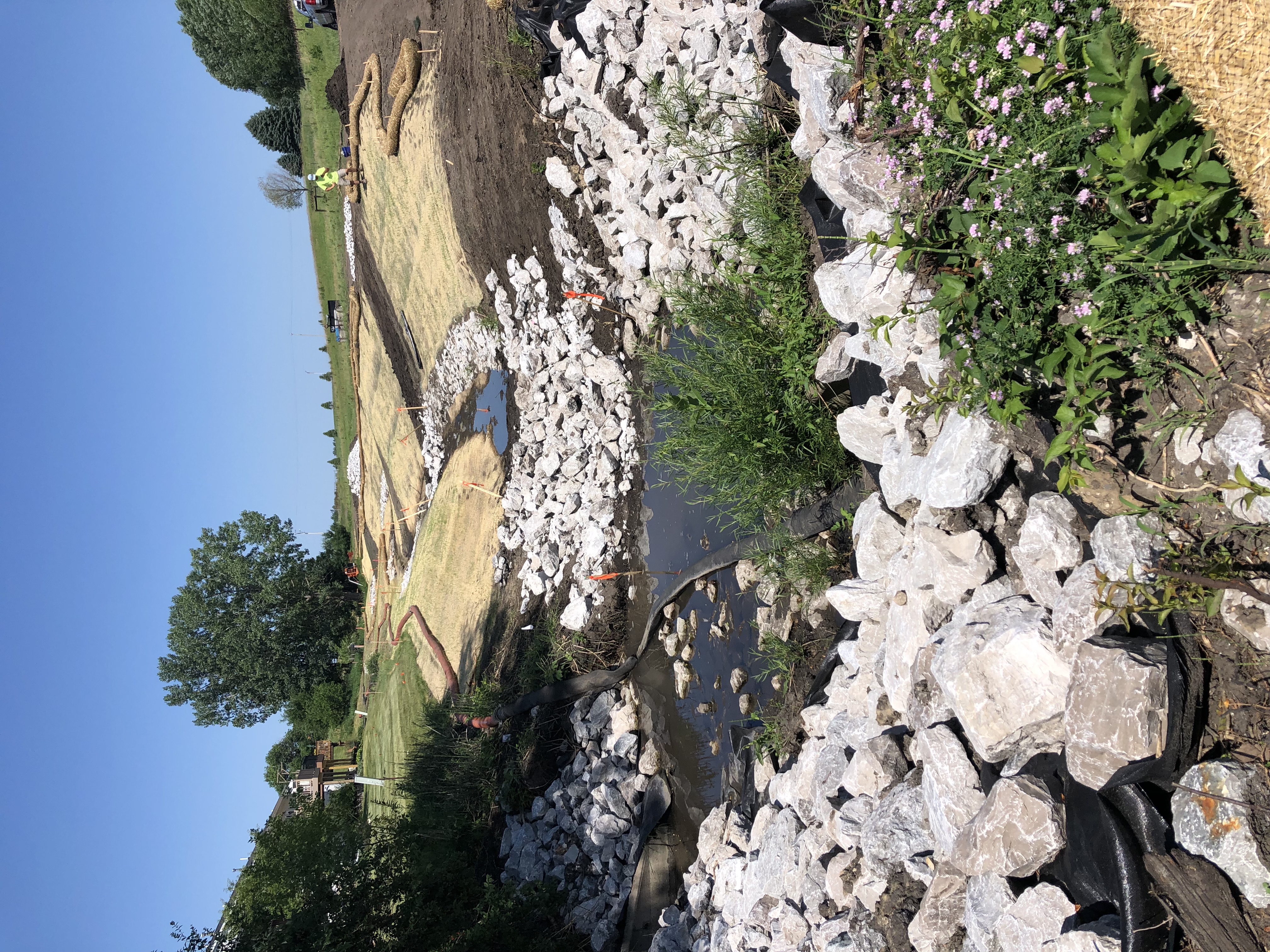 creek with rocks along edge
