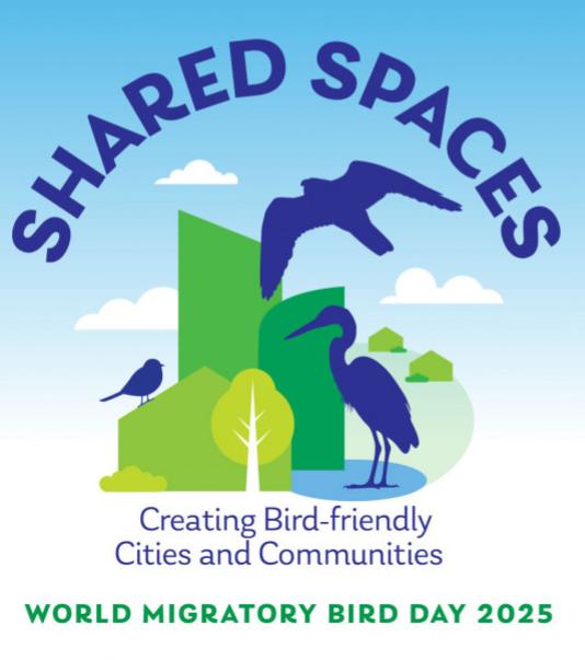 Shared Spaces. Creating Bird-friendly Cities and Communities. World Migratory Bird Dat 2025