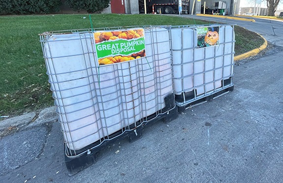 Containers for pumpkin disposal