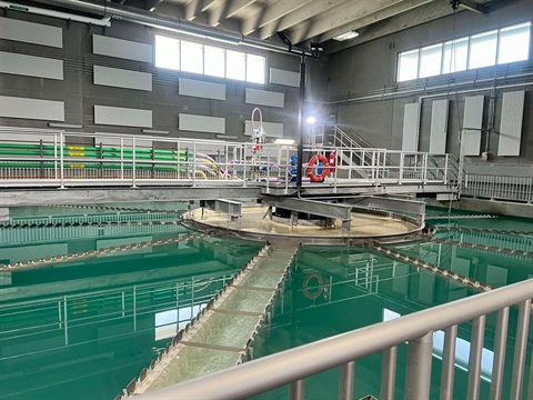 Water at the Water Treatment Plant